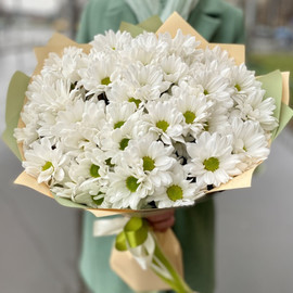 Весеннее настроение