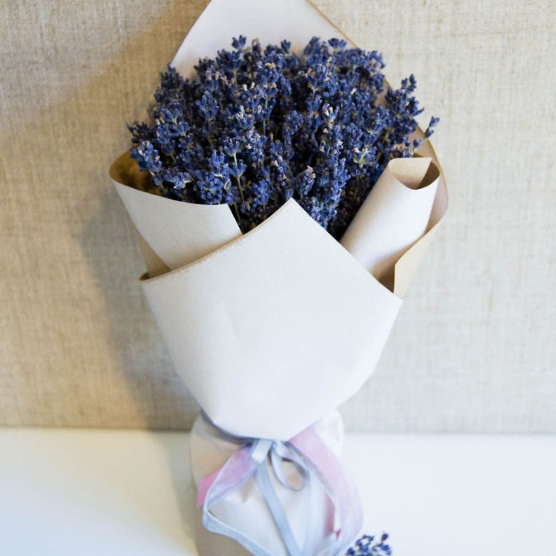 Lavanda, standart