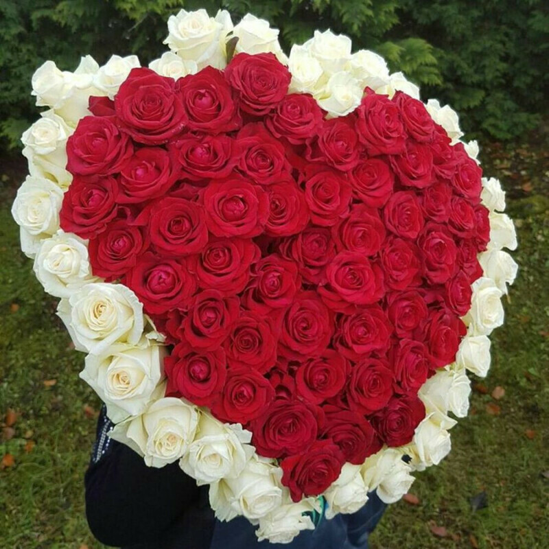 Moej malishke, standart