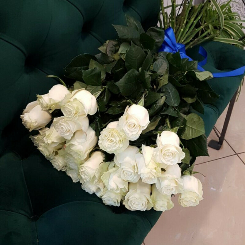 Роза белая, стандартный