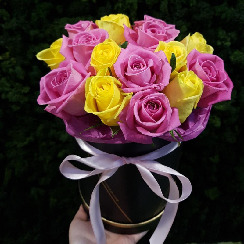 Солнце в саду, стандартный