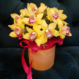 Орхидея в коробке