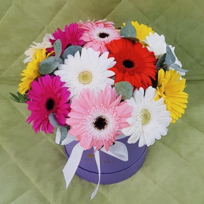 Очарование, стандартный