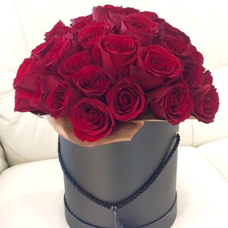 Elegant, standart