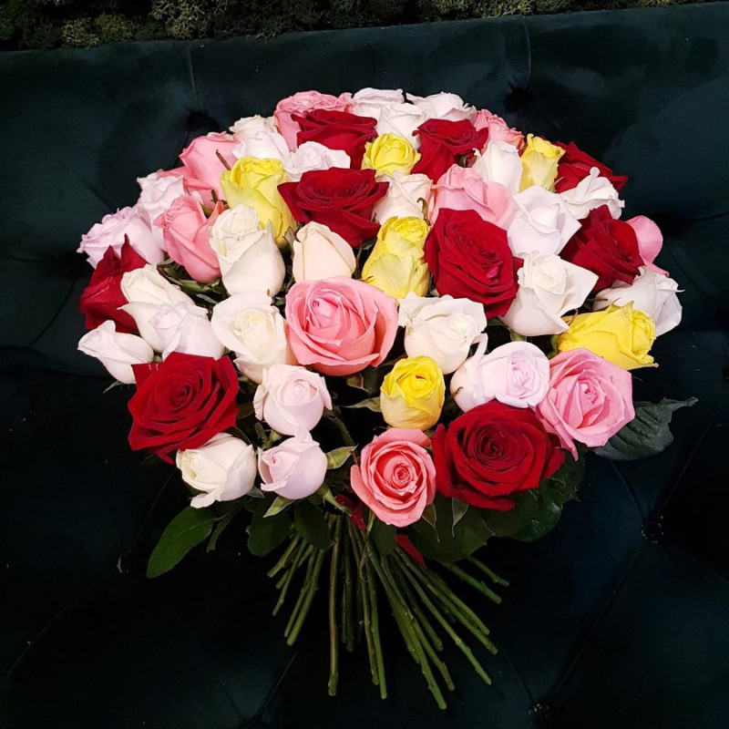 51 роза, стандартный