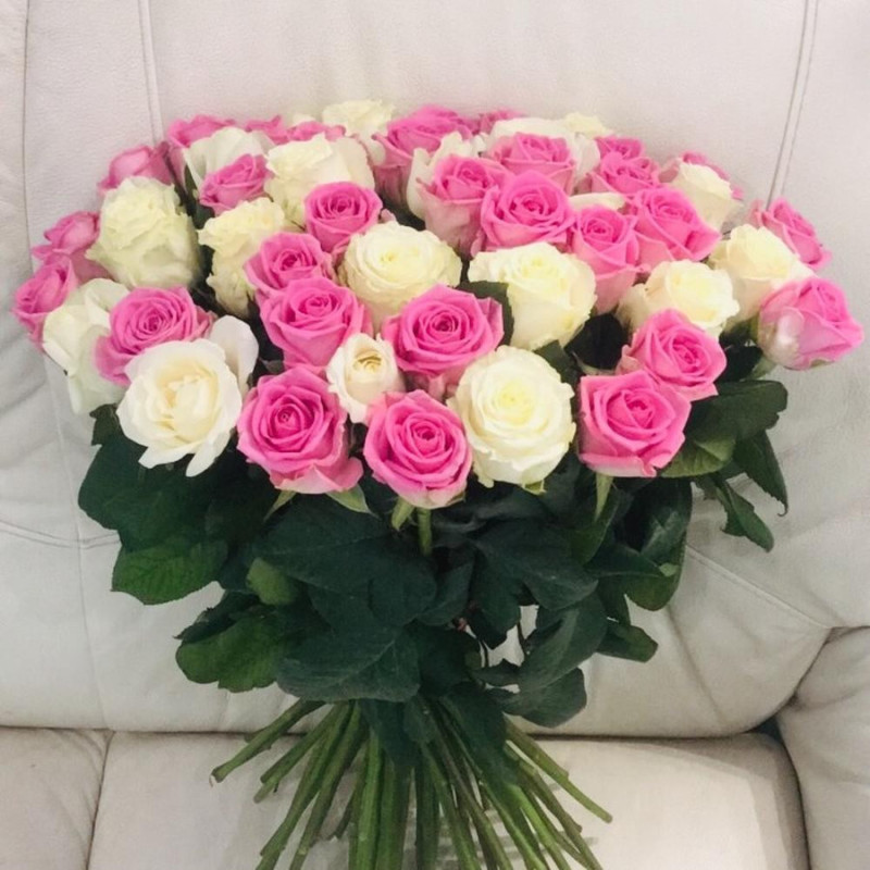 51 роза, стандартный