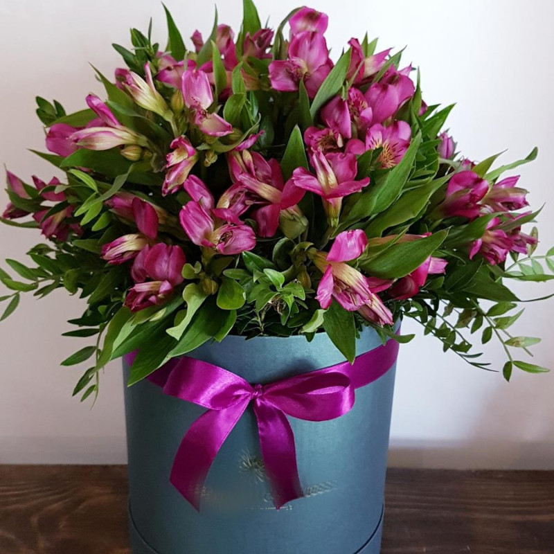 Малиновый сон, стандартный