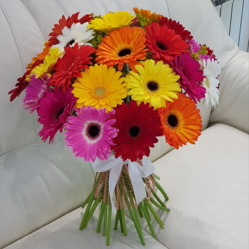 Рио, стандартный