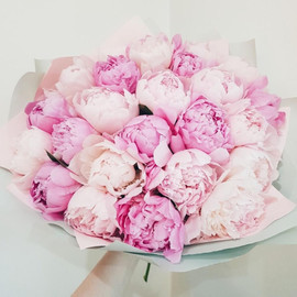 Сон Принцессы