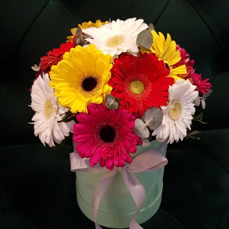 Мара, стандартный