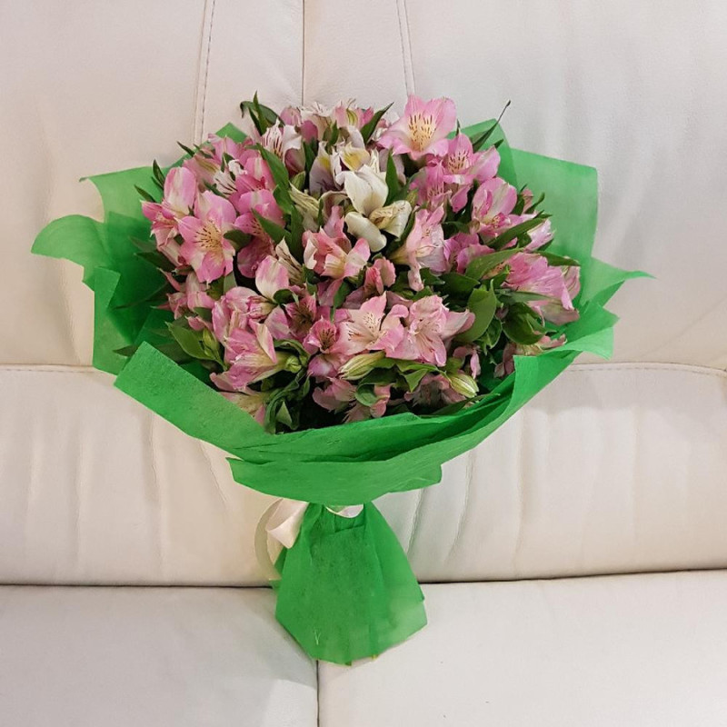 Кудряшка, стандартный