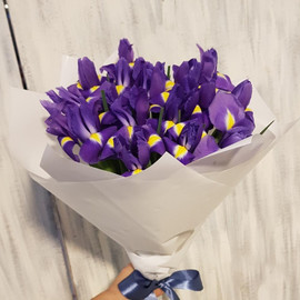 Синеглазка