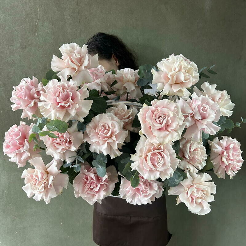 Korzina frantcuzskih roz, standart