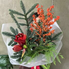 Зимний букет Нобилис, можжевельник, илекс, амарилис