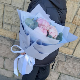 Букет пионов с эвкалиптом "Шарм"