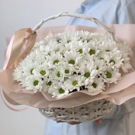 Chrysanthemums in a basket "Scent of spring!"