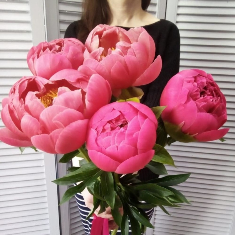 Peonies Coral Charm, standart