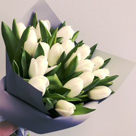 Bouquet of 17 white tulips "Tender look"