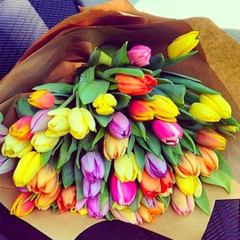 Қызғалдақ қоспасы "Мерекелеріңізбен!"