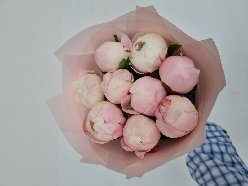 Bouquet of 9 pink peonies gardenia , standart