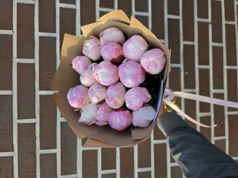 Bouquet of 17 Peonies Gardenia, standart