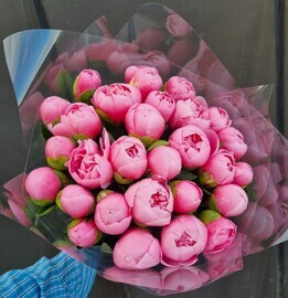 Букет из 29 пионы сальмон