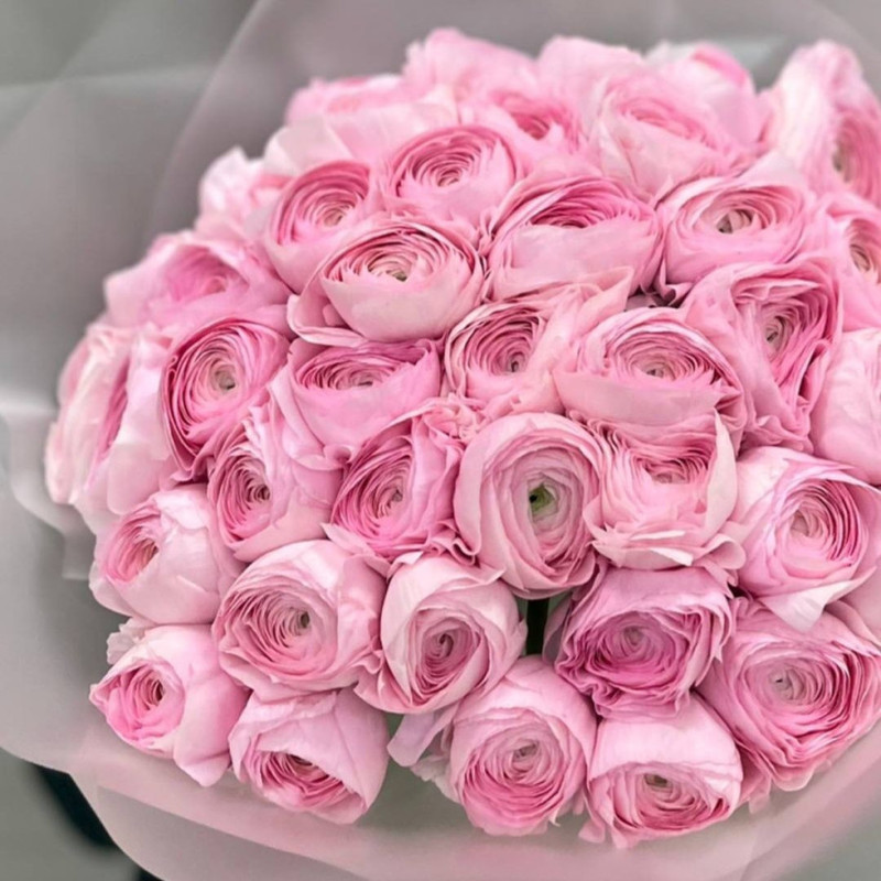 Букет из 45 ранунклюсы, стандартный