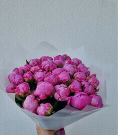 Bouquet of 31 Fleming peonies
