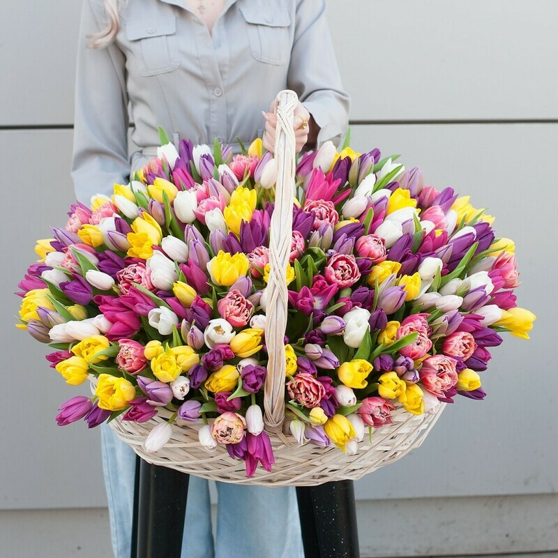 Большая корзина из  разноцветных тюльпанов "Феерверк чувств (301 тюльпан), стандартный