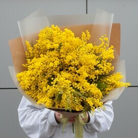 Buket iz mimozi "Svezhest_"