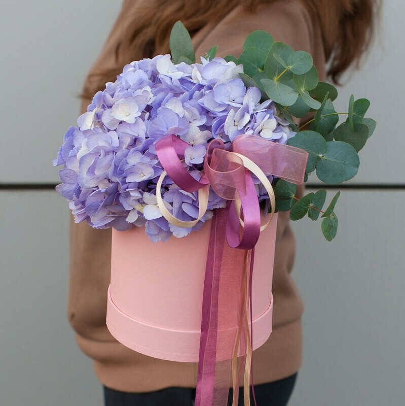 Gortenziya v shlyapnoj korobke "Lavander", standart