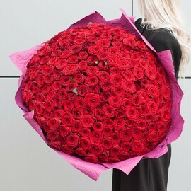 Букет из красных роз Ред Наоми 50 см В объятьях прекрасного  201 роза