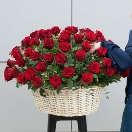 Korzina iz krasnih ekvadorskih roz premium klassa s evkaliptom "Rozaprima" (101 roza)