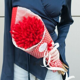 Buket suhotcvetov "Krasnij lagurus"