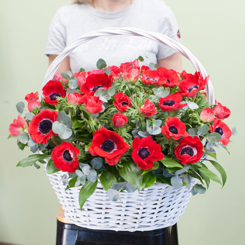 Korzina iz anemonov "Prekrasnaya skarlet", standart