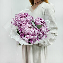 Monobuket hrizantem Lilovij son