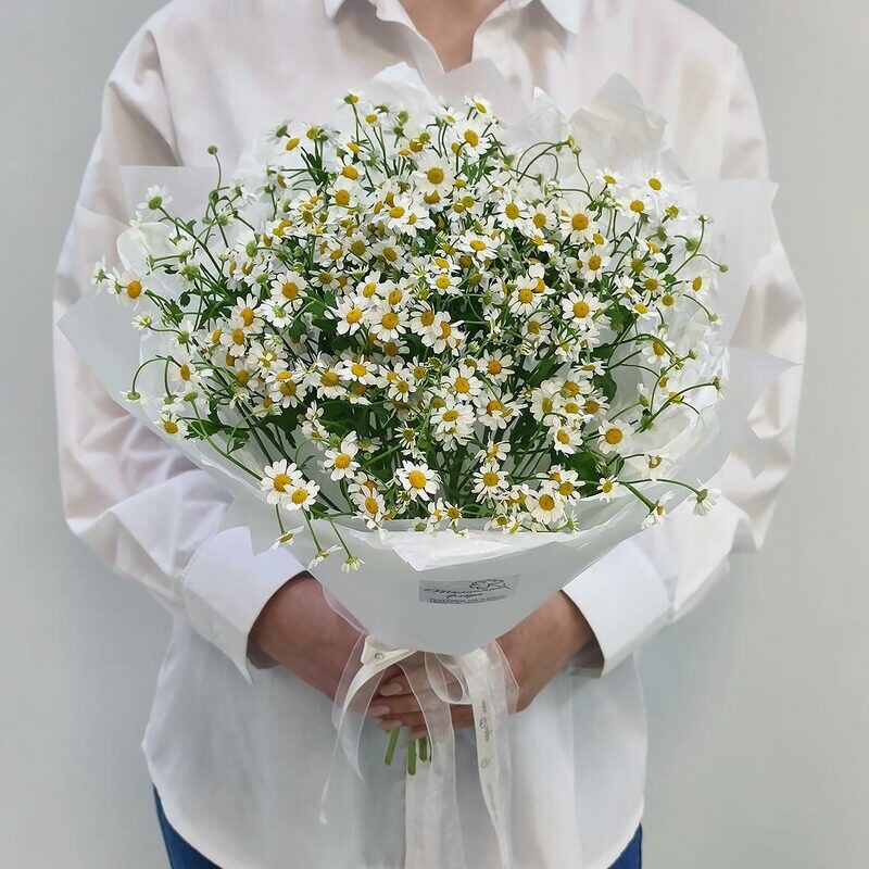 Летность белая букет мелких ромашек, стандартный