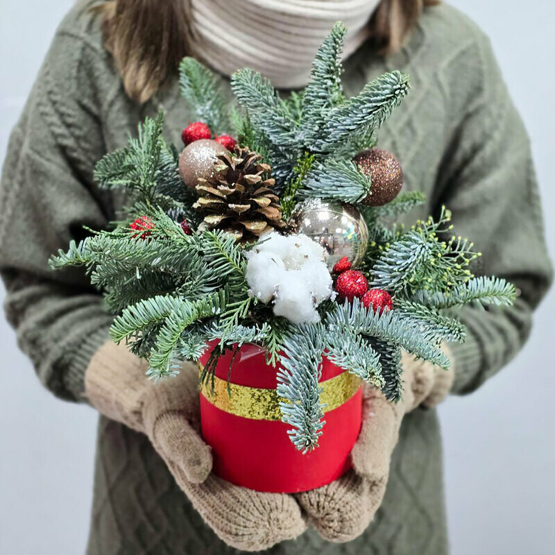 Красная коробочка с ёлками и шишками, стандартный