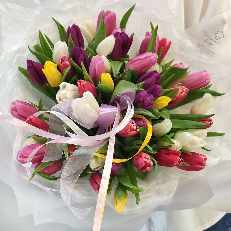 51 разноцветный тюльпан, 51 разноцветный тюльпан