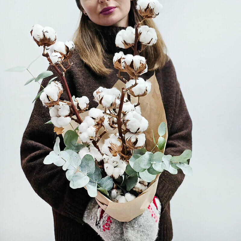 Vetki hlopka s evkaliptom, standart