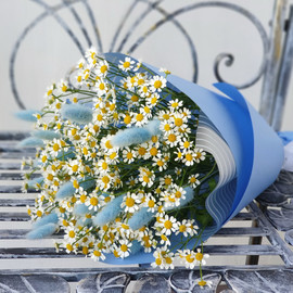 Авторский букет из ромашек и лагуруса