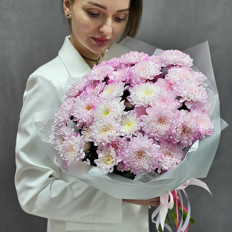 Buket rozovih hrizantem v upakovke, buket rozovih hrizantem v upakovke