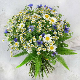Letnij buket iz romashek i vasil_kov