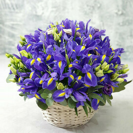 Синие ирисы в корзине