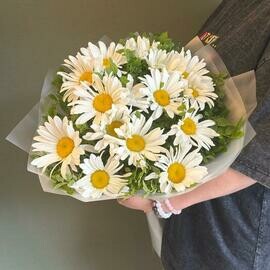 15 romashek s dekorativnoj zelen_yu