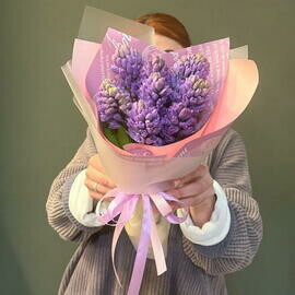 Buket iz 9 sirenevih giatcintov