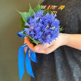 Cornflowers