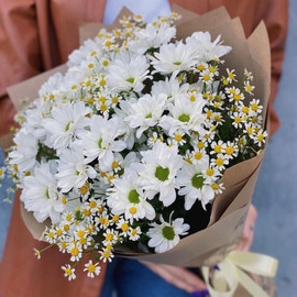 Букет «Ромашки»