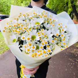Букет из ромашек