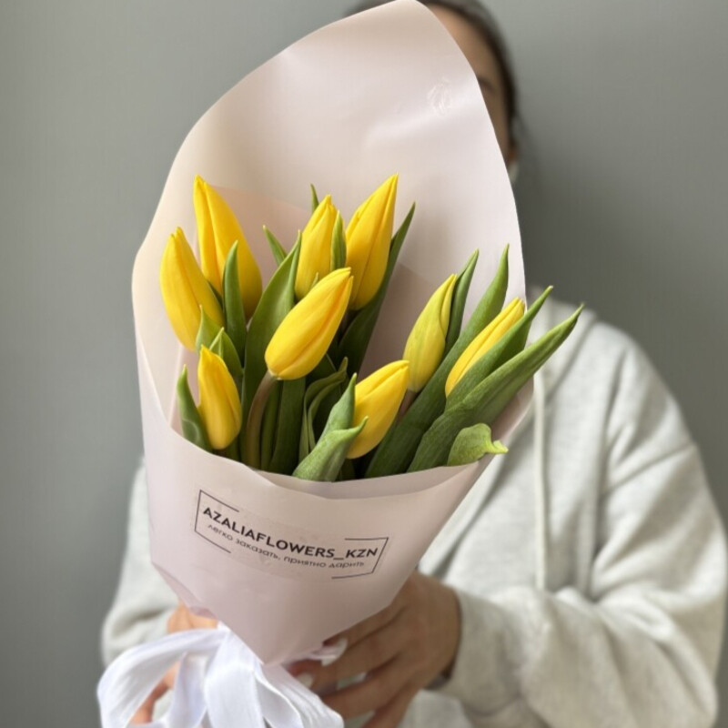 Солнечный луч, стандартный